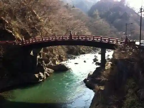 日光東照宮の自然