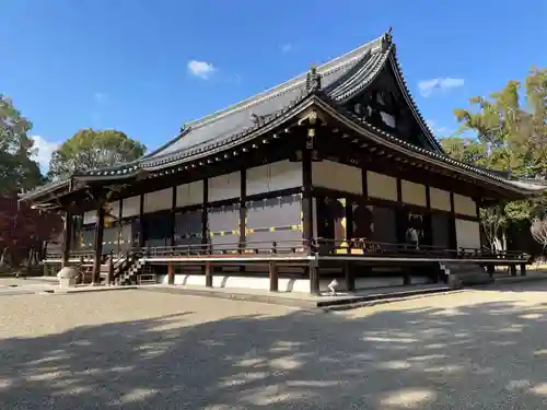 仁和寺(京都府)