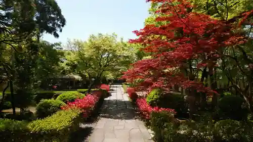 国清寺の庭園