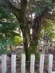 伊勢神社の自然