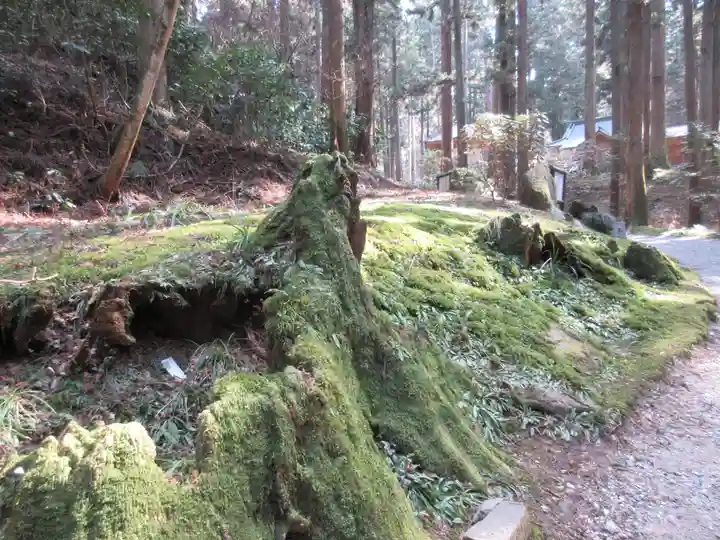 御岩神社の自然