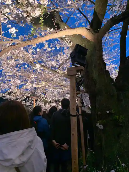 靖國神社(東京都)