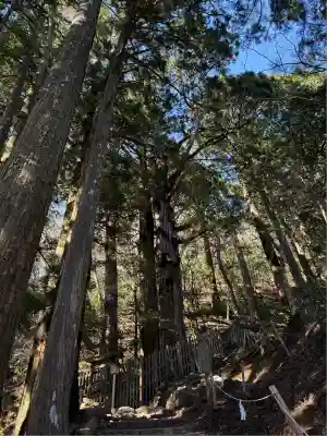 玉置神社(奈良県)