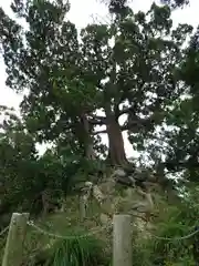 森戸大明神（森戸神社）の自然