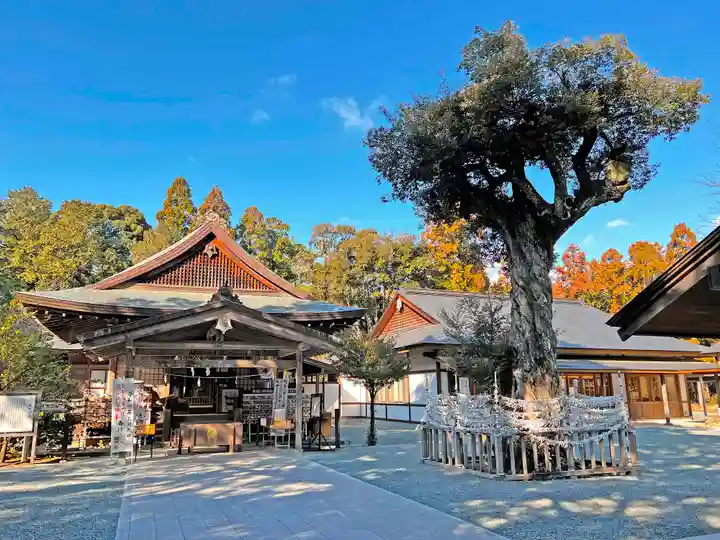 井伊谷宮の本殿・本堂