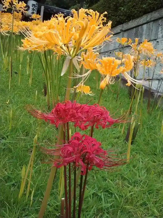 横浜 西方寺(神奈川県)