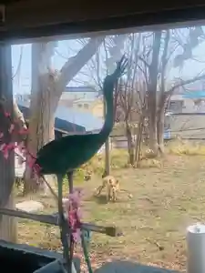 釧路一之宮 厳島神社の動物(2021年04月21日(水) 19時57分32秒投稿)