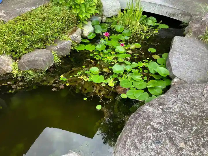 妙林寺(福島県)