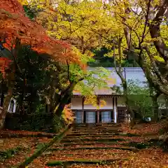 大洞院の自然