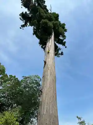 鶴峯八幡宮(千葉県)