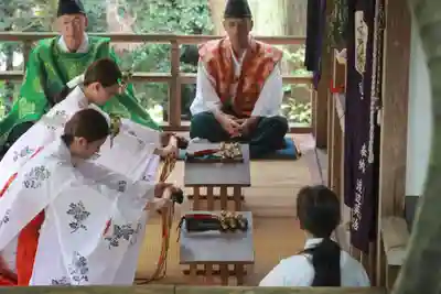 鹿島大神宮の神楽