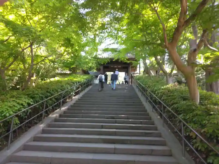 円覚寺(神奈川県)