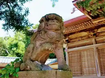 玉崎神社の狛犬
