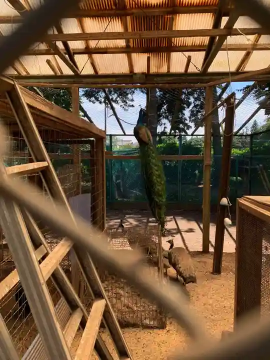 瀧水寺(千葉県)