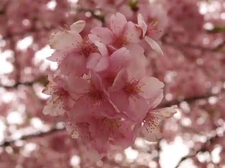 三毳不動尊の周辺