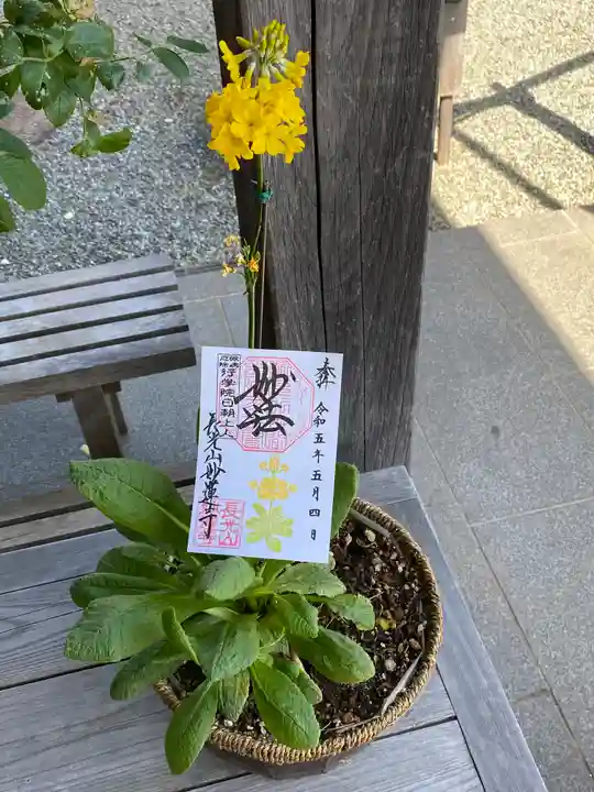 妙蓮寺(神奈川県)