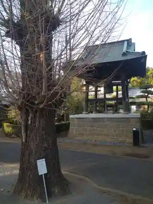 普済寺のその他建物