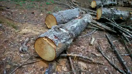 忠栄金刀比羅神社(北海道)
