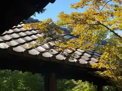 東福禅寺(東福寺)(京都府)