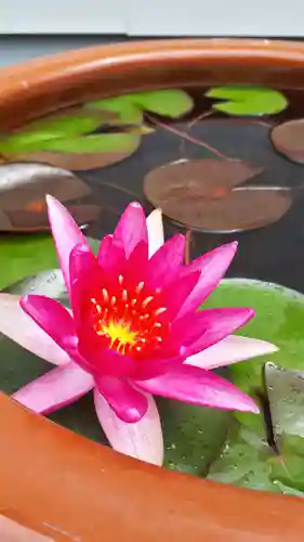 極楽山　浄土寺の自然