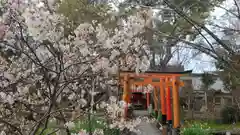 平野神社の自然