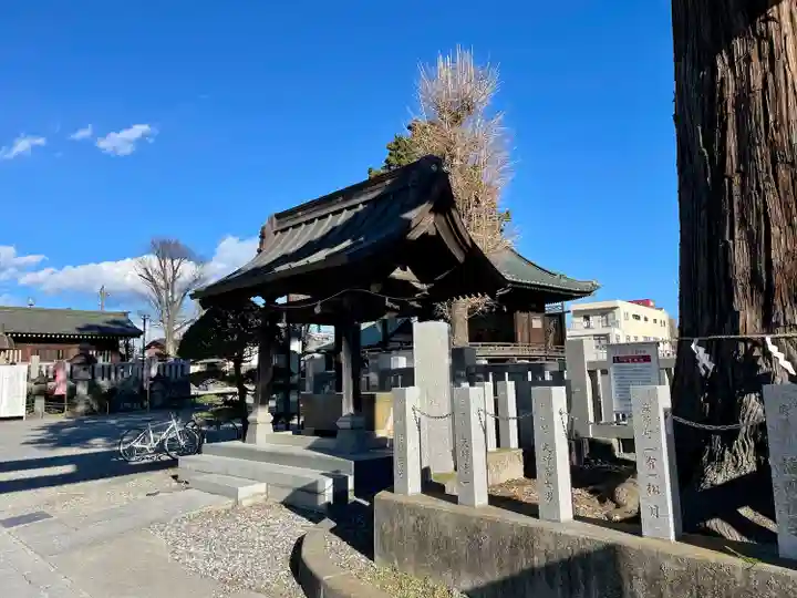 鹿沼今宮神社(栃木県)