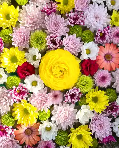 伊達神社の手水舎