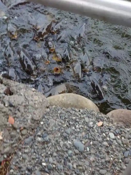 大瀬神社(静岡県)