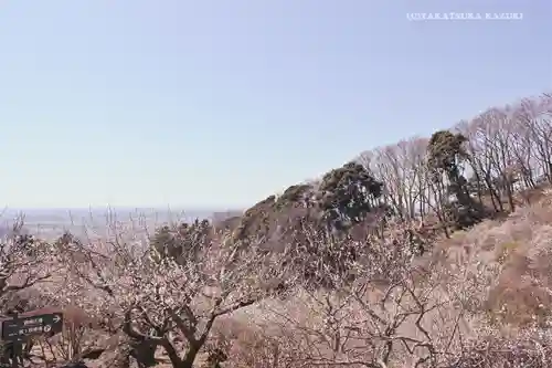 筑波山神社の景色