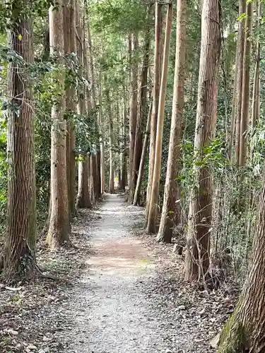 家城神社の周辺