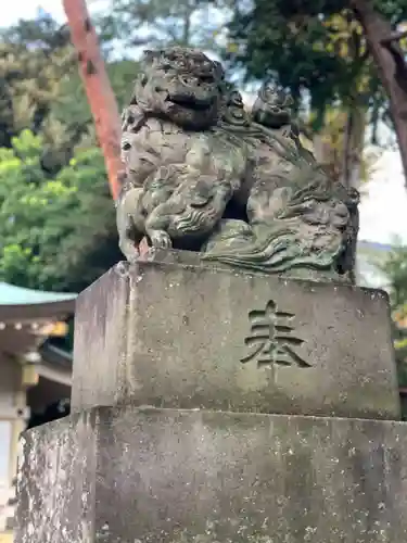天沼八幡神社の狛犬