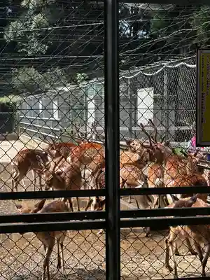 鹿島神宮(茨城県)