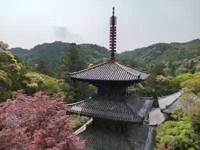 一乗寺(兵庫県)