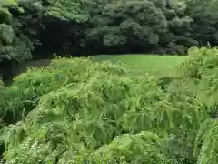 龍尾神社(静岡県)