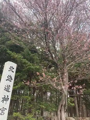 潮見ヶ岡神社の自然