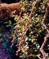 秀源寺(埼玉県)