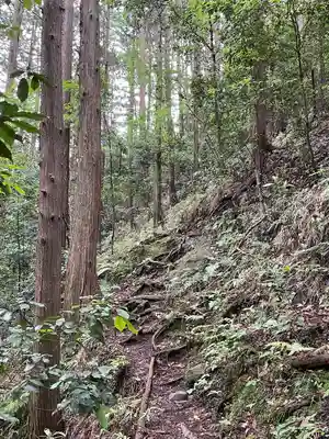 琴平神社の周辺