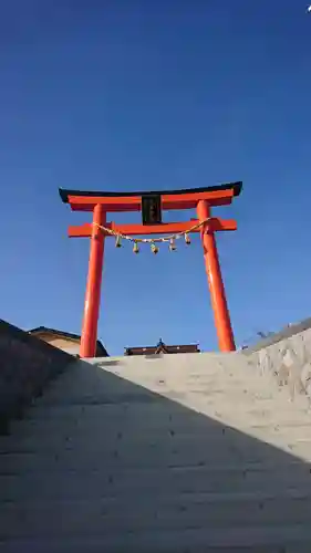 大島神社の鳥居