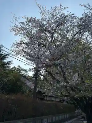 東蕗田天満社(茨城県)