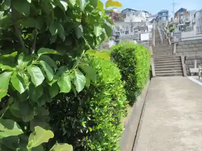 妙福寺(神奈川県)