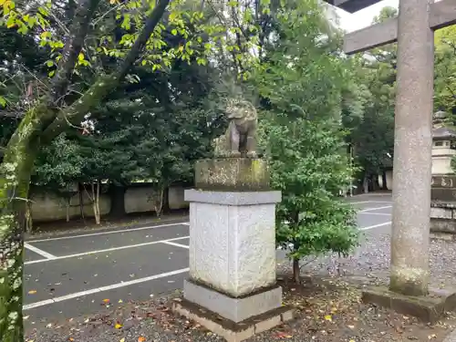 一言主神社の狛犬