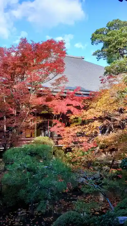 禅林寺(永観堂)(京都府)