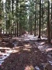 高照神社の自然