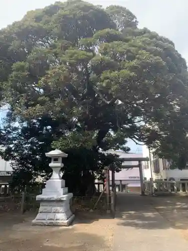 鹿島神社のその他建物