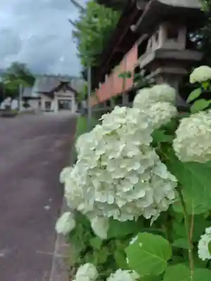飯生神社(北海道)