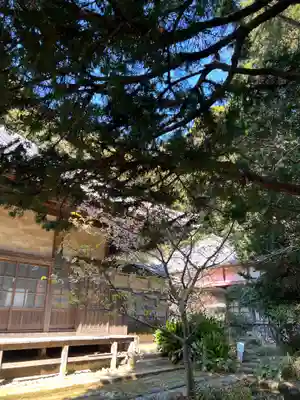 かっぱの寺 栖足寺(静岡県)