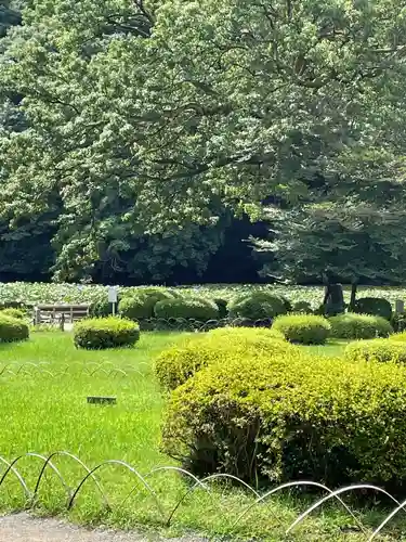 明治神宮(東京都)