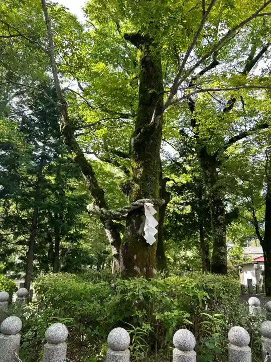 山中諏訪神社(山梨県)