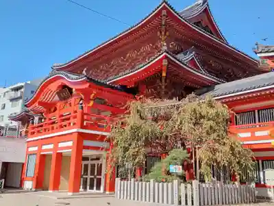 大須観音 (北野山真福寺宝生院)(愛知県)