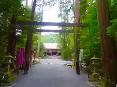 椿大神社の鳥居